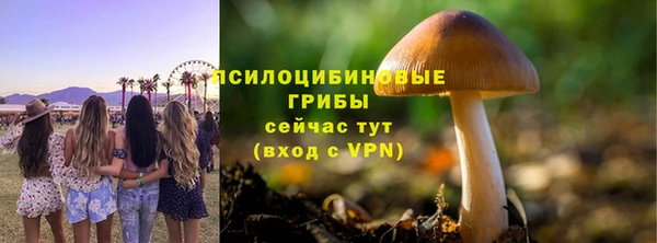 стаф Киренск