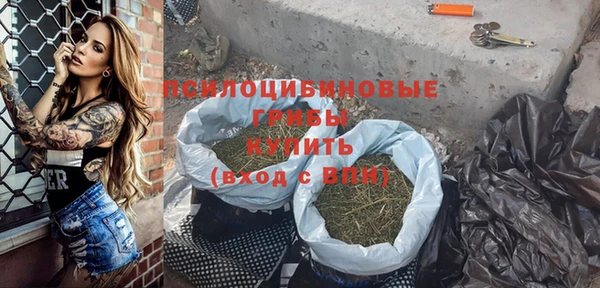 спиды Киреевск