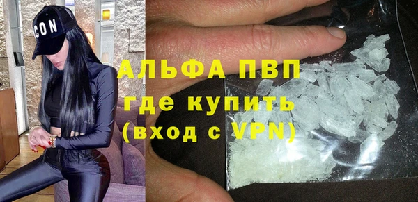 стаф Киренск