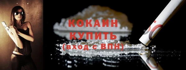 стаф Киренск