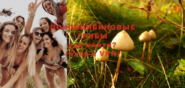 спиды Киреевск