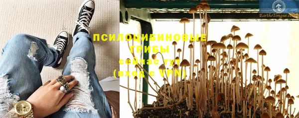 спиды Киреевск
